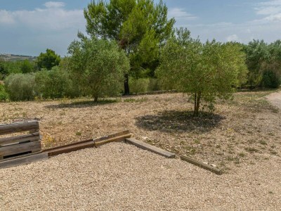 Finca FINCA SON PUÇA - Environment photo 54