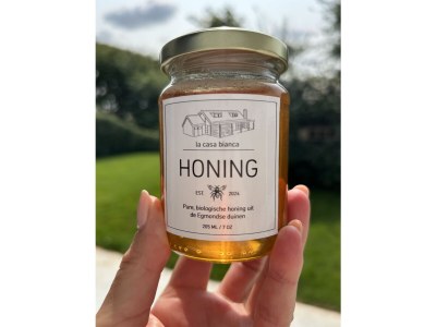 Apartment La Casa Bianca - Features photo 23