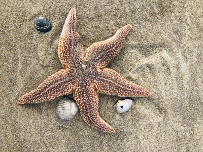 Apartment La Casa Bianca - Environment photo 33