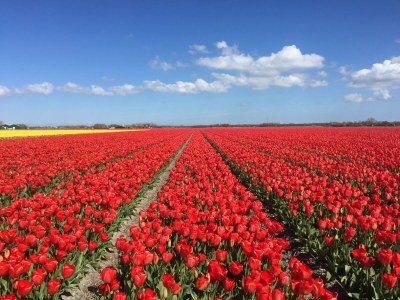 Apartment La Casa Bianca - Environment photo 34