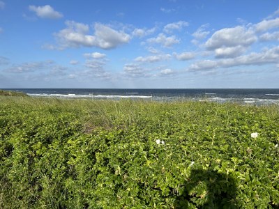 Apartment La Casa Bianca - Environment photo 40