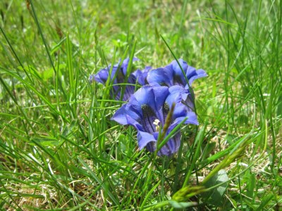 Holiday apartment Groneshof - Outdoor photo 9