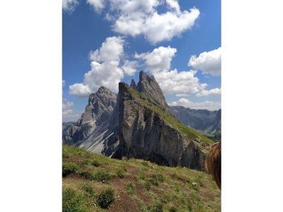 Holiday apartment Groneshof - Environment photo 37