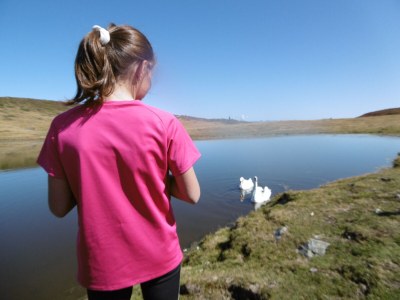 Holiday apartment Groneshof - Environment photo 43