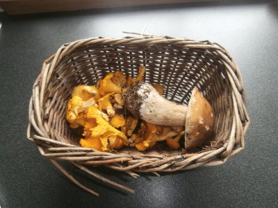 Holiday apartment Groneshof - Environment photo 46