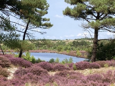 Holiday house Muisje - Environment photo 22