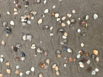 Holiday house Muisje - Environment photo 32