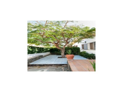 Holiday house Belvilla von OYO Strandhaus Adelfas - Outdoor photo 4