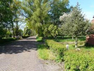 Holiday house Glamour Tent in Frisian Woods near Cycling Route - Environment photo 36