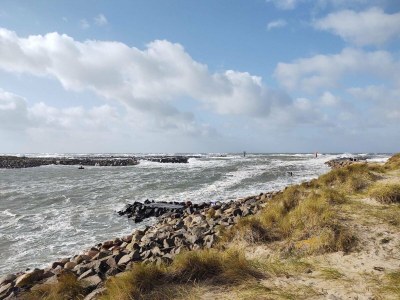 Holiday house 8 person holiday home in Ulfborg-By Traum - Outdoor photo 4