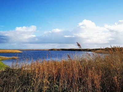 Holiday house 8 person holiday home in Ulfborg-By Traum - Outdoor photo 24