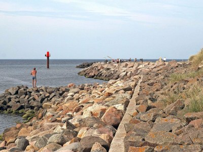 Holiday house 8 person holiday home in Ulfborg-By Traum - Outdoor photo 25