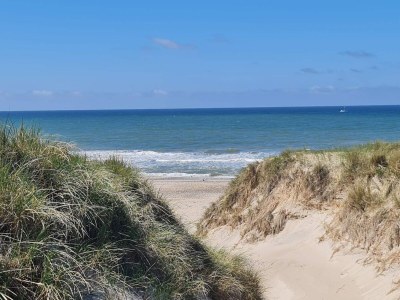 Holiday house 8 person holiday home in Ulfborg-By Traum - Outdoor photo 28