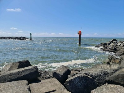 Holiday house 8 person holiday home in Ulfborg-By Traum - Outdoor photo 43