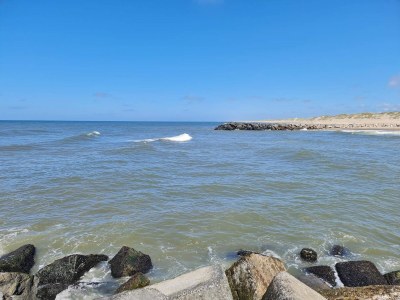 Holiday house 8 person holiday home in Ulfborg-By Traum - Outdoor photo 44