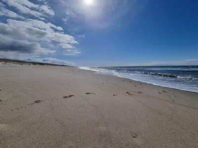 Holiday house 8 person holiday home in Ulfborg-By Traum - Outdoor photo 45