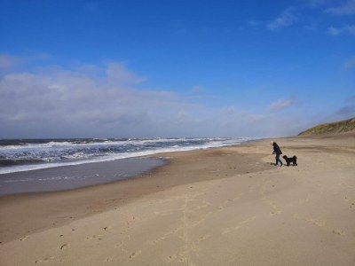 Holiday house 8 person holiday home in Ulfborg-By Traum - Outdoor photo 48