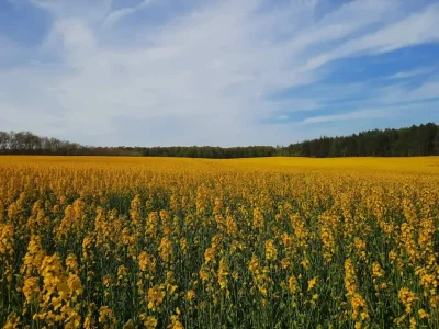 Holiday house Luxury Retreat by Bonnerup - By Traum Ferienwohnungen - Outdoor photo 23