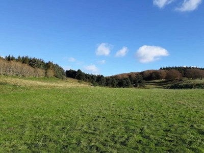 Holiday house Luxury Retreat by Bonnerup - By Traum Ferienwohnungen - Outdoor photo 32