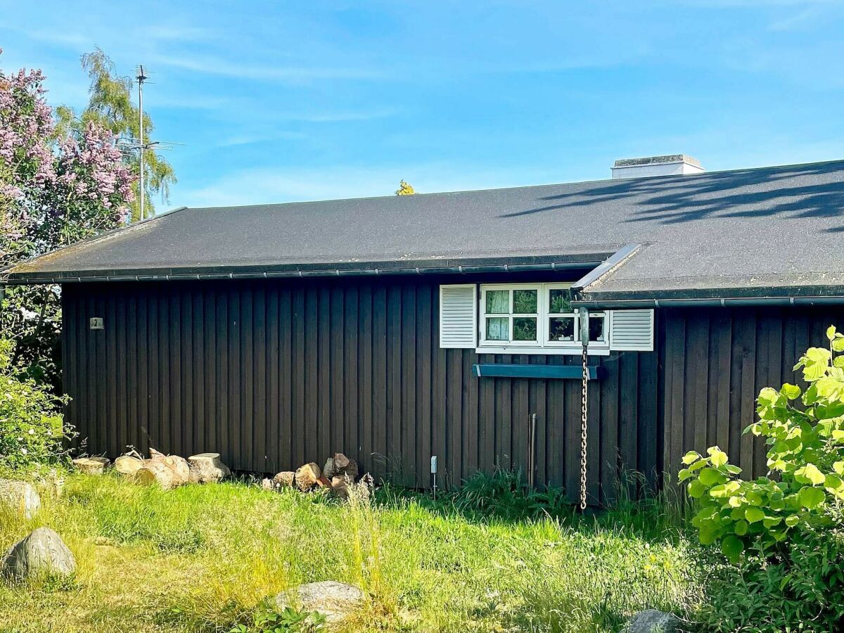 Holiday house 4 person holiday home in Frørup-By Traum - Outdoor photo 4