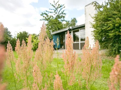 Holiday house 4 person holiday home in Frørup-By Traum - Outdoor photo 6