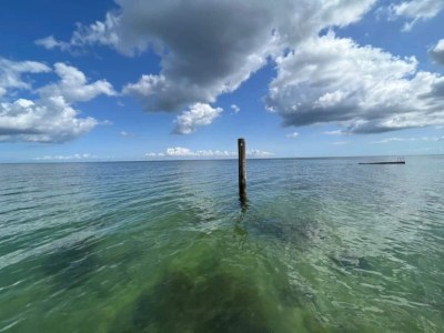 Holiday house 4 person holiday home in Frørup-By Traum - Outdoor photo 15