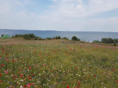 Holiday house 4 person holiday home in Frørup-By Traum - Outdoor photo 17