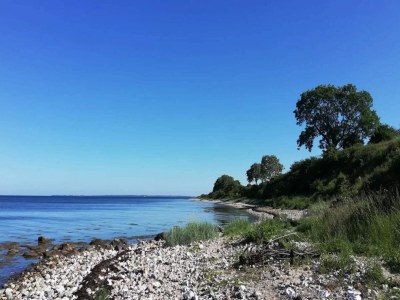 Holiday house 4 person holiday home in Frørup-By Traum - Outdoor photo 19