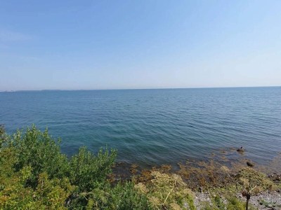 Holiday house 4 person holiday home in Frørup-By Traum - Outdoor photo 20