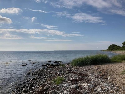 Holiday house 4 person holiday home in Frørup-By Traum - Outdoor photo 21