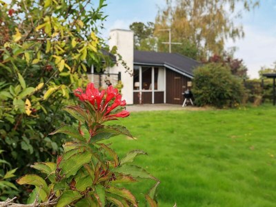 Holiday house 4 person holiday home in Frørup-By Traum - Outdoor photo 27