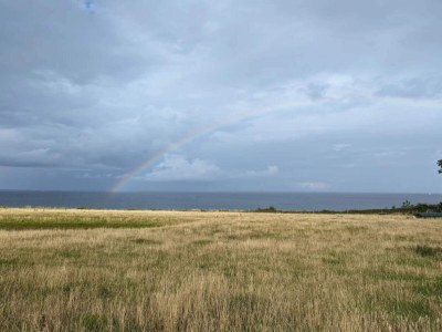 Holiday house 4 person holiday home in Frørup-By Traum - Outdoor photo 33