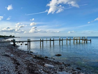 Holiday house 4 person holiday home in Frørup-By Traum - Outdoor photo 36