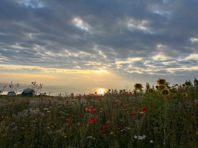 Holiday house 4 person holiday home in Frørup-By Traum - Outdoor photo 46