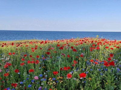 Holiday house 4 person holiday home in Frørup-By Traum - Outdoor photo 47