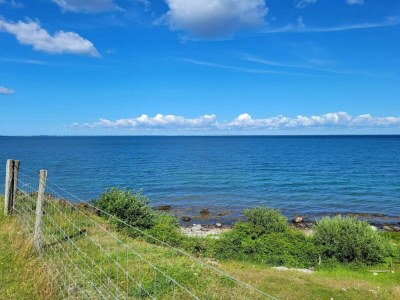 Holiday house 4 person holiday home in Frørup-By Traum - Outdoor photo 48