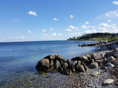 Holiday house 4 person holiday home in Frørup-By Traum - Outdoor photo 49