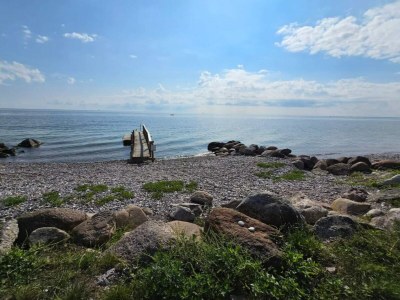 Holiday house 4 person holiday home in Frørup-By Traum - Outdoor photo 50