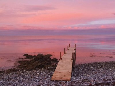 Holiday house 4 person holiday home in Frørup-By Traum - Outdoor photo 53