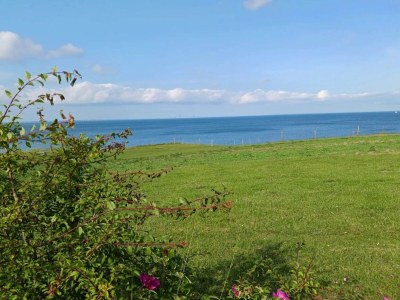 Holiday house 4 person holiday home in Frørup-By Traum - Outdoor photo 56