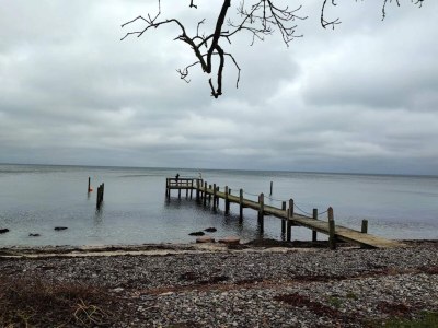 Holiday house 4 person holiday home in Frørup-By Traum - Outdoor photo 57