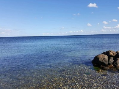 Holiday house 4 person holiday home in Frørup-By Traum - Outdoor photo 59