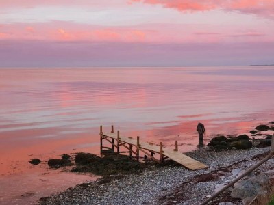 Holiday house 4 person holiday home in Frørup-By Traum - Outdoor photo 60