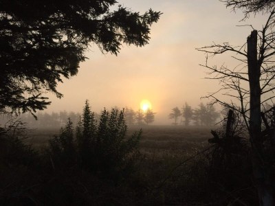 Holiday house 5 person holiday home in Ulfborg-By Traum - Outdoor photo 34