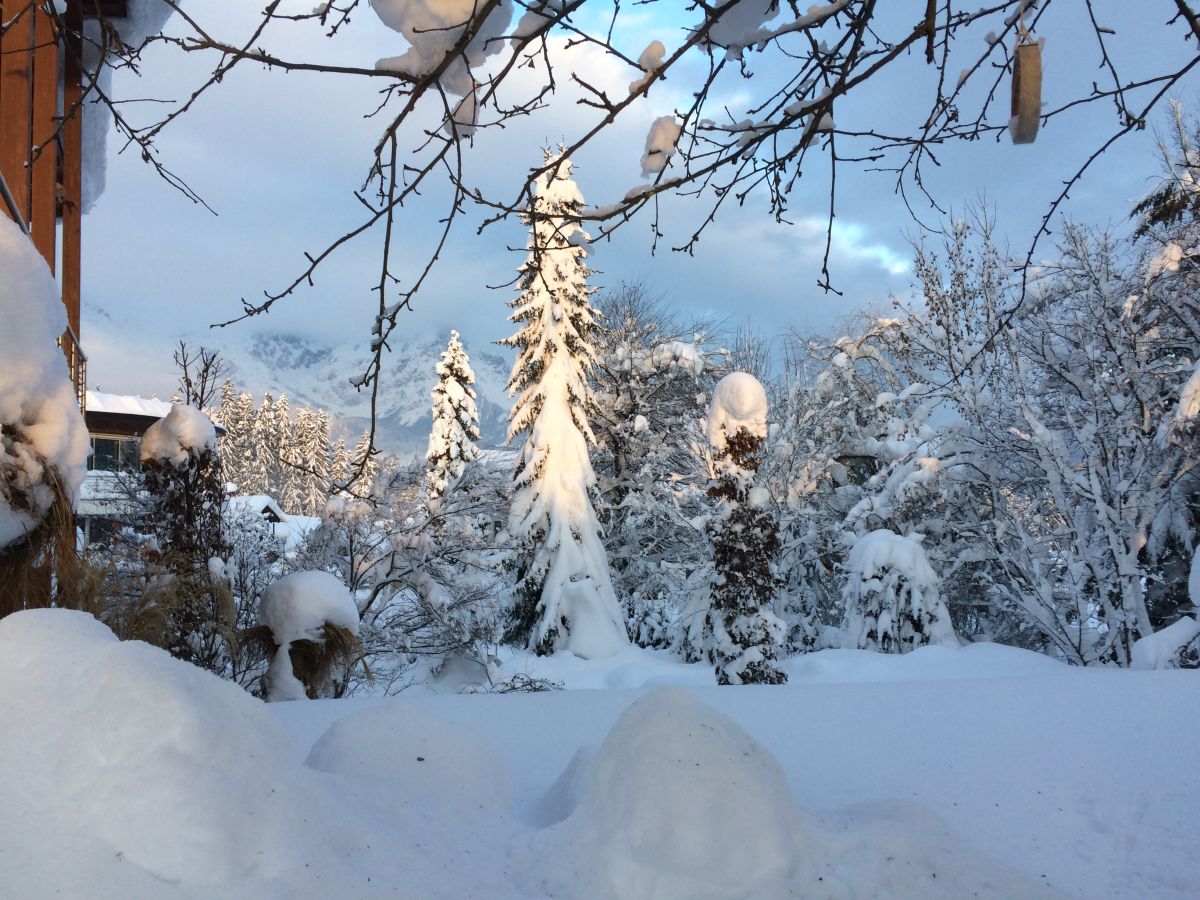 Holiday apartment Haus Mühlleiten - Outdoor photo 4