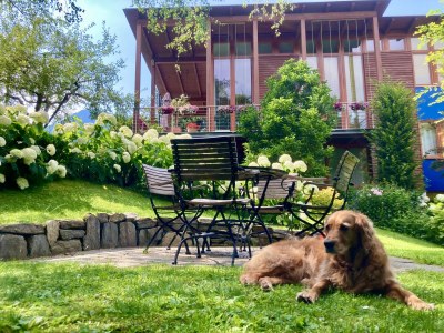 Holiday apartment Haus Mühlleiten - Outdoor photo 2