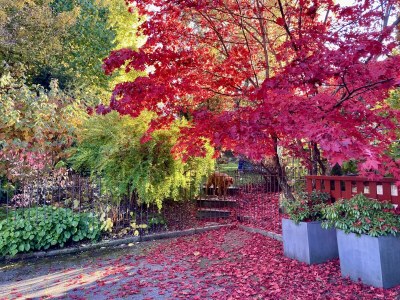 Holiday apartment Haus Mühlleiten - Outdoor photo 6