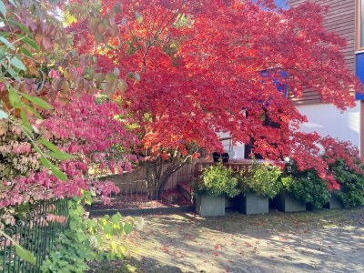 Holiday apartment Haus Mühlleiten - Outdoor photo 7