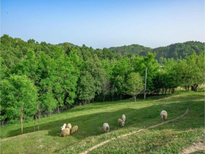 Holiday house Villa with Saun in Labin - Environment photo 33