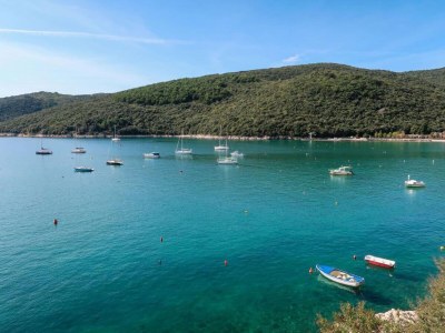 Villa Villa mit Pool in Rabac - Environment photo 18